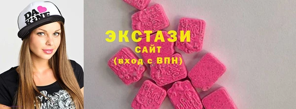 ECSTASY Богданович